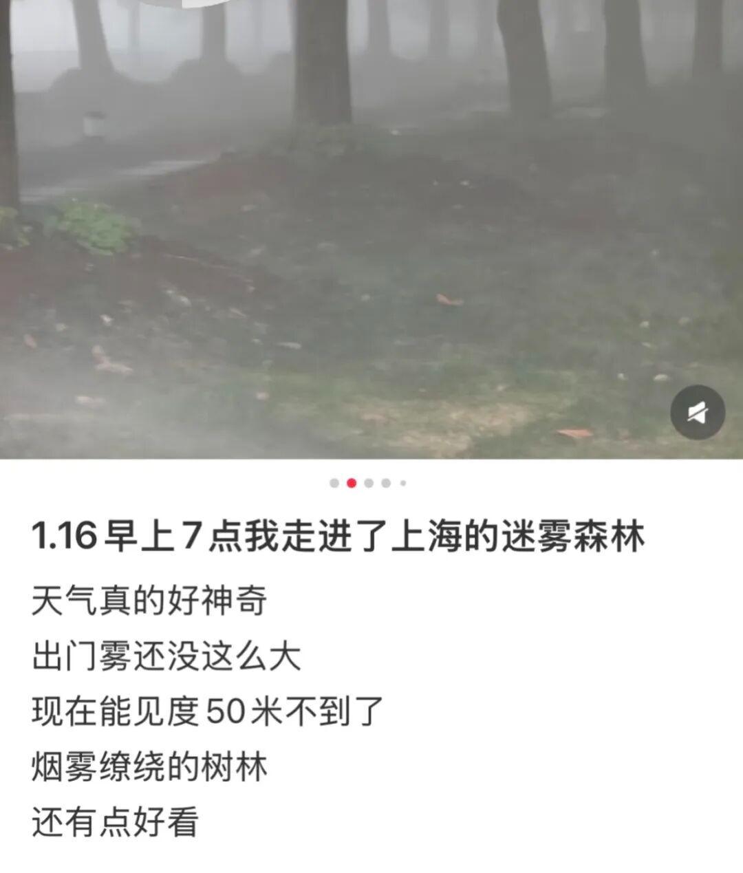 乐玩体育-上海：入冬以来最强雨雪冰冻将袭！网友：没见过这么大雾，路口竟看不到红绿灯！